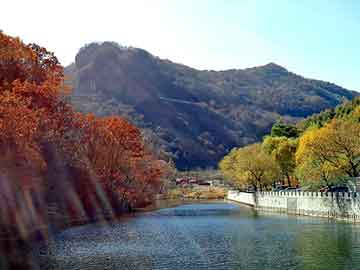 新澳天天开奖资料大全旅游团，泰顺seo外包